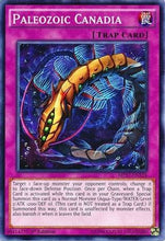 Paleozoic Canadia [MP17-EN124] Common
