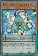Predaplant Spider Orchid [DUPO-EN035] Ultra Rare