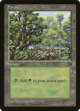 Forest (5) [Arena League 1996]