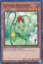 Naturia Rosewhip (Duel Terminal) [HAC1-EN099] Parallel Rare