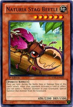 Naturia Stag Beetle [STBL-EN032] Common