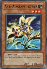 Anti-Aircraft Flower [IOC-EN076] Common