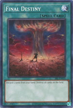 Final Destiny (25th Anniversary) [SRL-EN035] Common