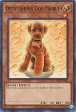 Outstanding Dog Marron (25th Anniversary) [DCR-EN062] Common