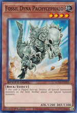 Fossil Dyna Pachycephalo [SGX4-END02] Common