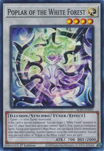 Poplar of the White Forest (ALIN-EN041) - Alliance Insight