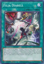 Filia Diabell (ALIN-EN057) - Alliance Insight