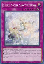 Sinful Spoils Sanctification (ALIN-EN073) - Alliance Insight