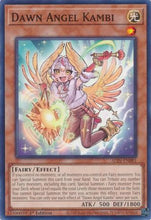 Dawn Angel Kambi (ALIN-EN081) - Alliance Insight