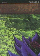 Black Lotus (2 of 9) (Ultra PRO Puzzle Quest) [Media Promos]