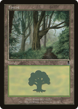 Forest (350) [Odyssey]