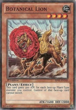Botanical Lion [BP01-EN145] Starfoil Rare