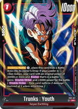 Trunks : Youth - FB11-017 (FB11-017) - Brightness of Hope Holofoil
