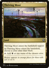 Thriving Moor [Dungeons & Dragons: Adventures in the Forgotten Realms Commander]