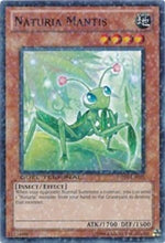 Naturia Mantis [DT04-EN079] Common
