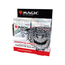 MTG - Adventures in the Forgotten Realms - English Collector Booster Box