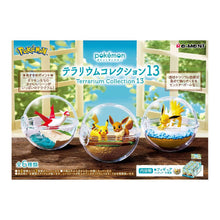 Pokemon - Terrarium Collection 13 - Blind Box