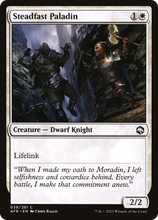 Steadfast Paladin [Dungeons & Dragons: Adventures in the Forgotten Realms]