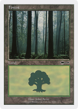 Forest (90) [Beatdown]