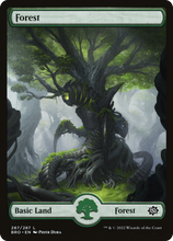 Forest (287) [The Brothers' War]