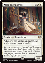 Mesa Enchantress (DSC-068) - Duskmourn: House of Horror Commander Foil