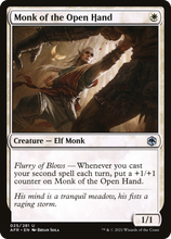 Monk of the Open Hand [Dungeons & Dragons: Adventures in the Forgotten Realms]