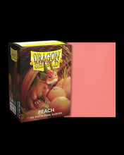 Dragon Shield - 100ct Standard Size - Dual Matte - Various Colours