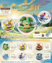 Pokemon - Terrarium Collection 14 - Blind Box
