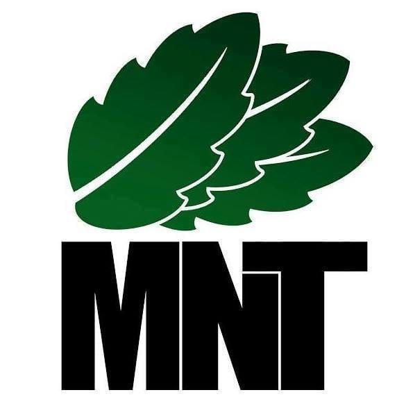 MNT Grading - Standard - 3-4 Calendar Months