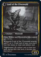 Kessig Naturalist // Lord of the Ulvenwald [Innistrad: Double Feature]