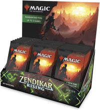 MTG - Zendikar Rising - Set Booster Box